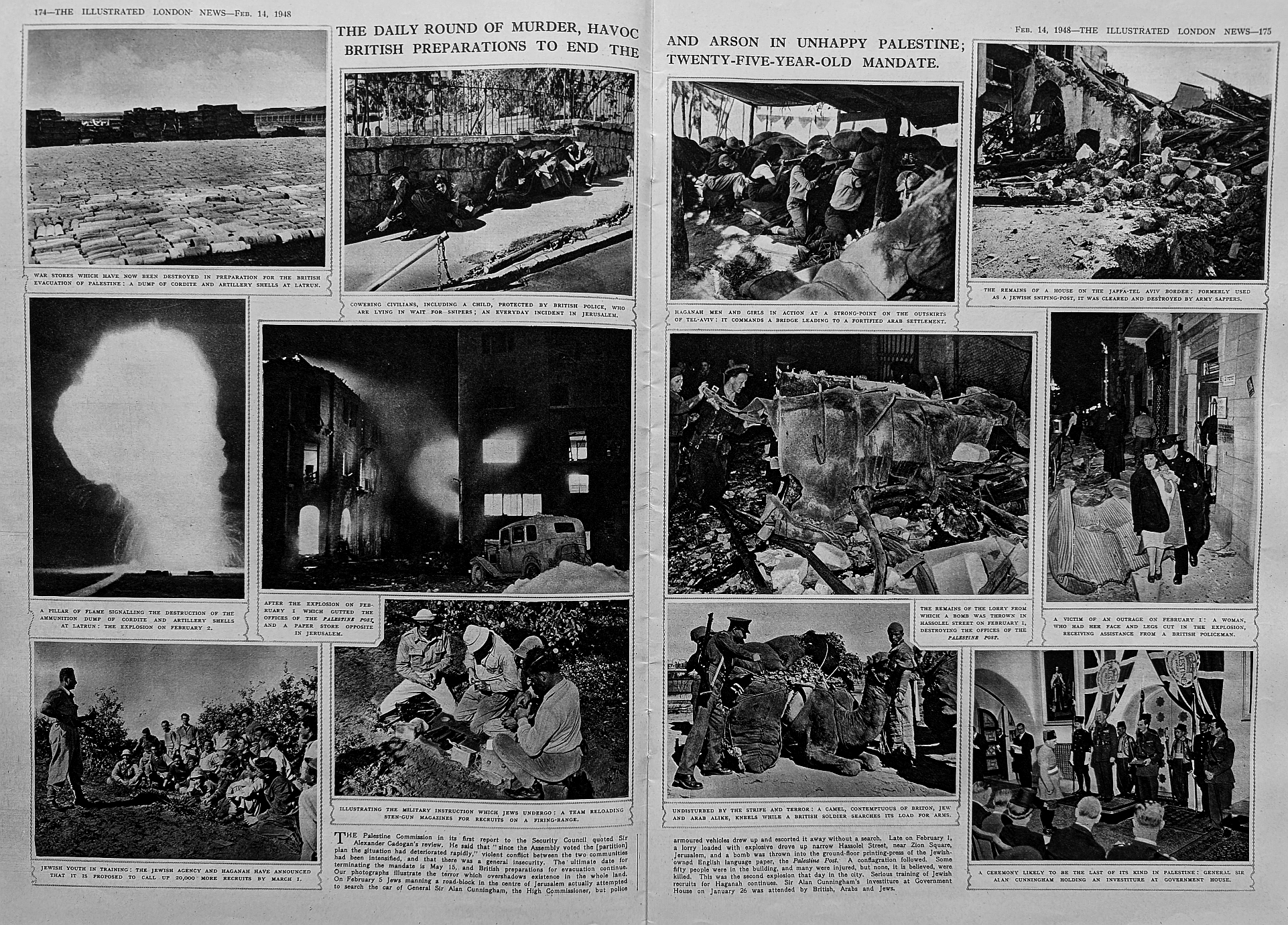 February 14th daily murder and havoc